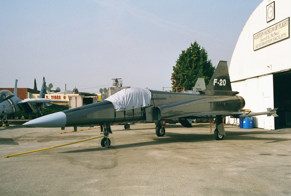 极富悲剧色彩的虎鲸,虎鲨悲剧