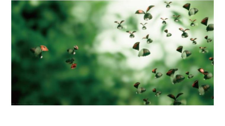 第23届上海国际电影节动画获奖,上海国际电影节最佳动漫20届