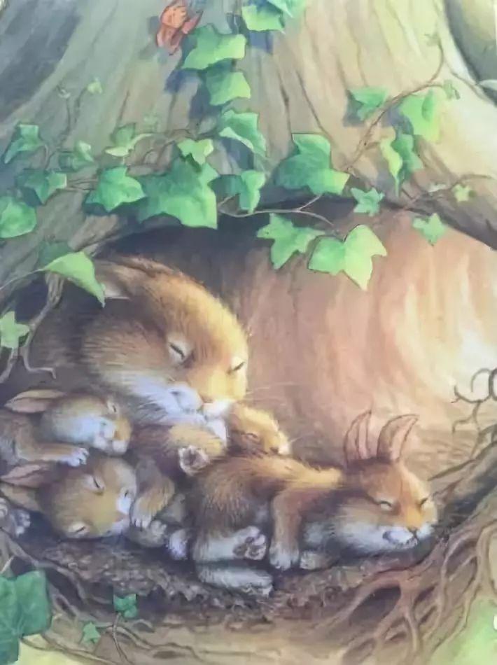 培养3至4岁幼儿逻辑思维的绘本,读绘本引导孩子的思维