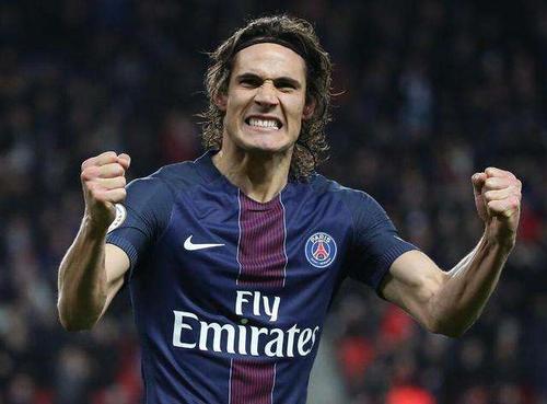 卡瓦尼首发地位,卡瓦尼意甲集锦