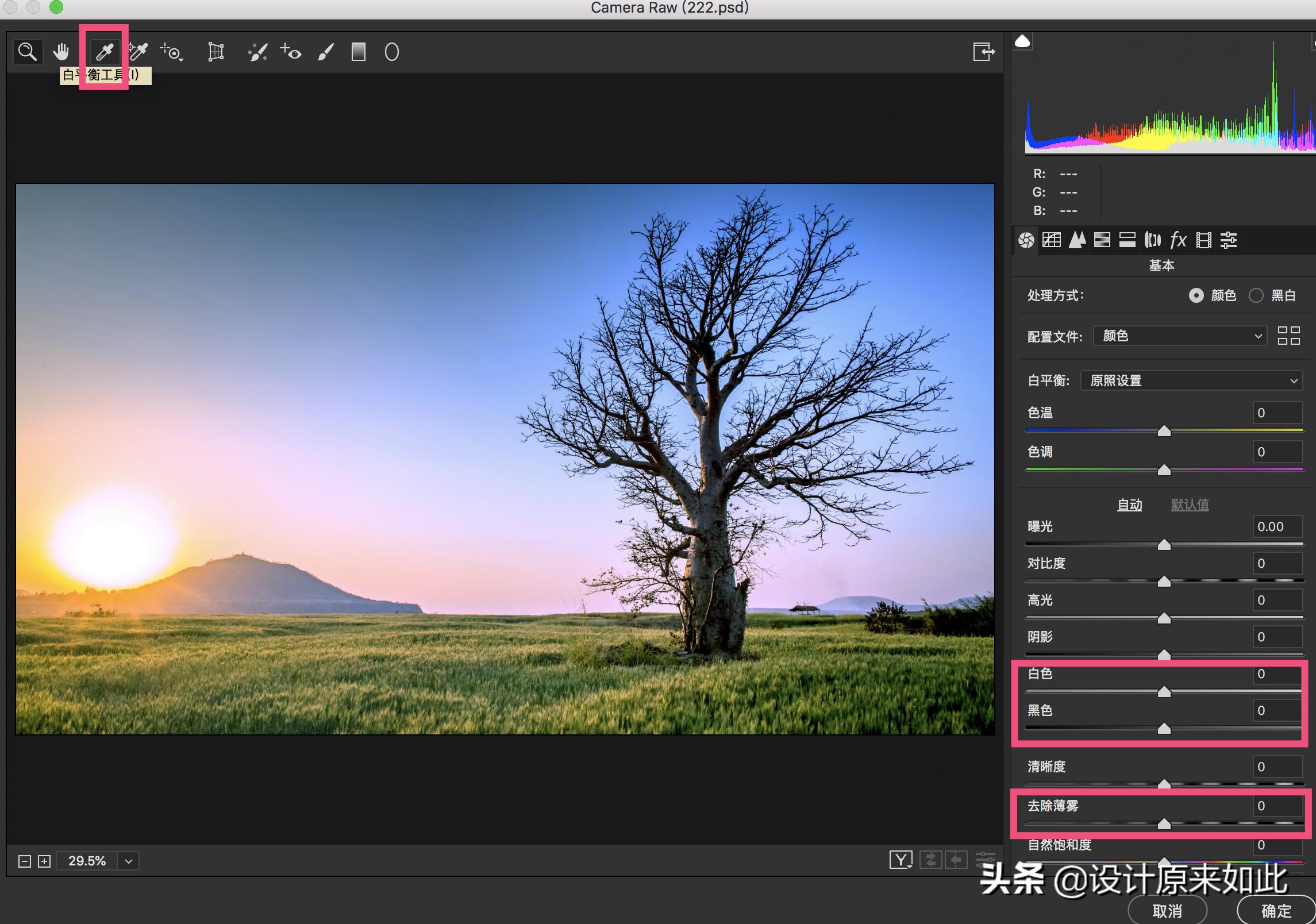 ps可选颜色与色阶调色的区别,ps怎么调色照片背景颜色