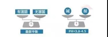 益生菌调理秘密花园,益生菌呵护秘密花园