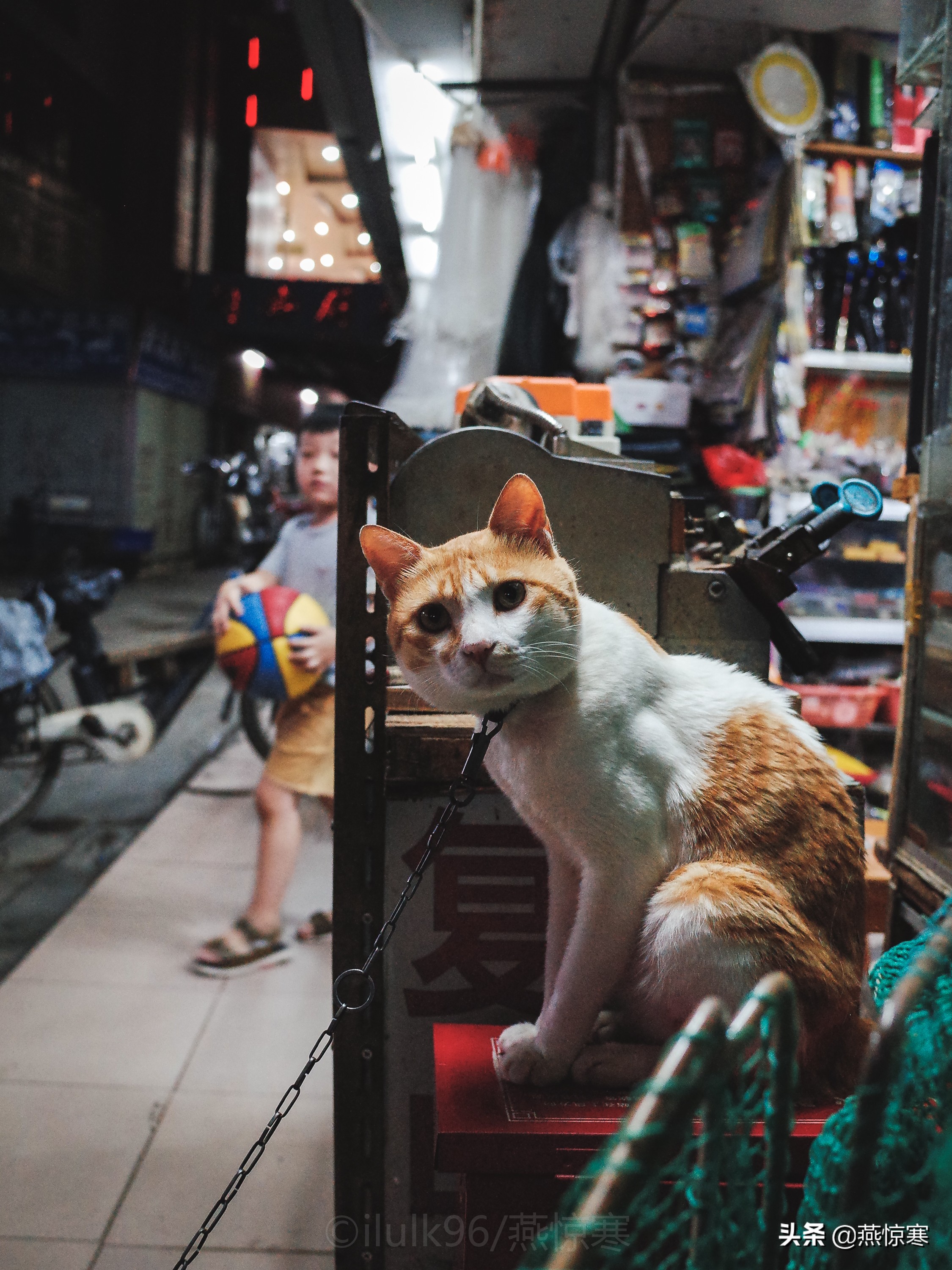 宾得相机配理光的镜头,宾得理光镜头推荐