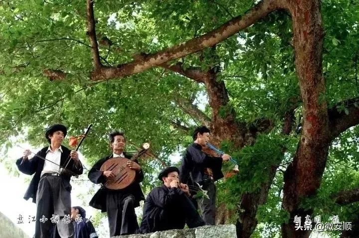 你好！我叫安顺，这是我2021最新简历