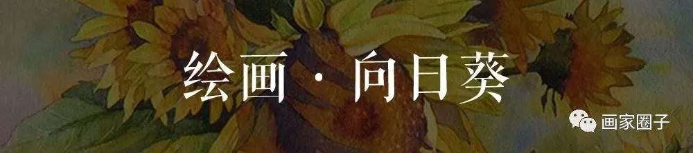 100种漂亮花卉图片,100张漂亮花图