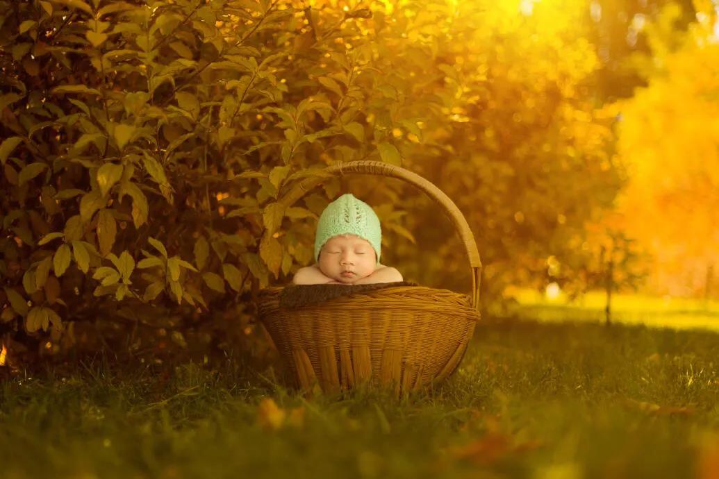 免费上门拍满月照套路,新生儿满月照免费