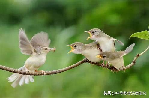 母爱是一种巨大的火焰全集,母亲的学习是最好的家庭教育