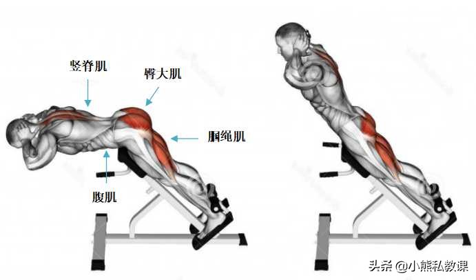 向心收缩和离心收缩练出来的肌肉,健身离心收缩与向心收缩哪个重要