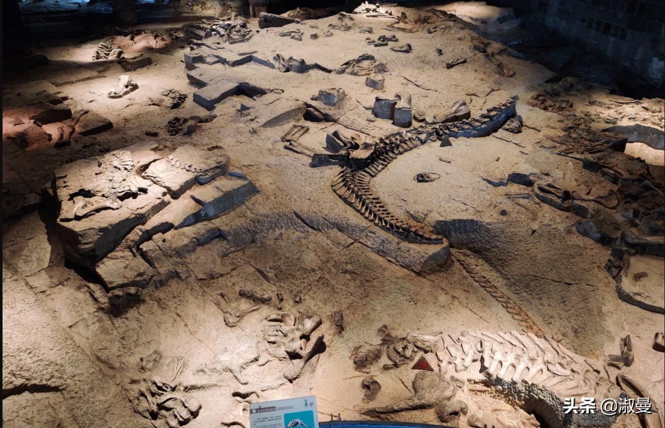 恐龙距今多少年前灭绝,恐龙灭绝前有人类吗