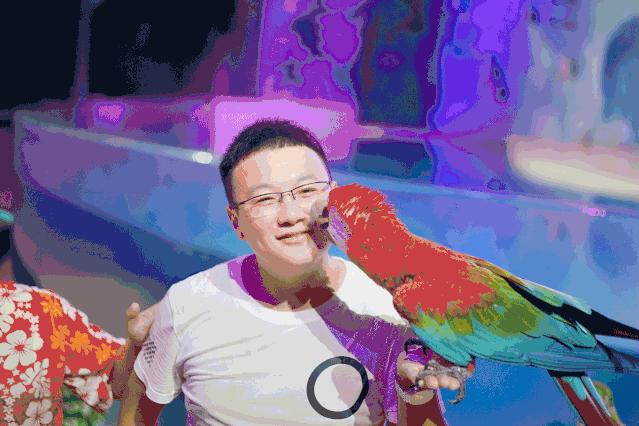 惊喜放“价”|错过了双十一，你还能错过双十二么？OMG~买它