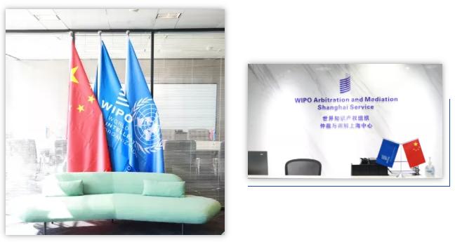 最高法院保护知识产权案例最新,浦东知识产权法院