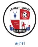 英格兰队徽壁纸,英格兰队徽图片蓝锁