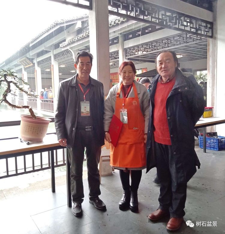 金艳盆景精品欣赏,幸得一知己