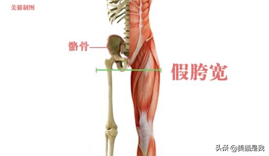 你不是腿短，而是加胯宽，科学矫正假垮宽，修炼长腿第一步！