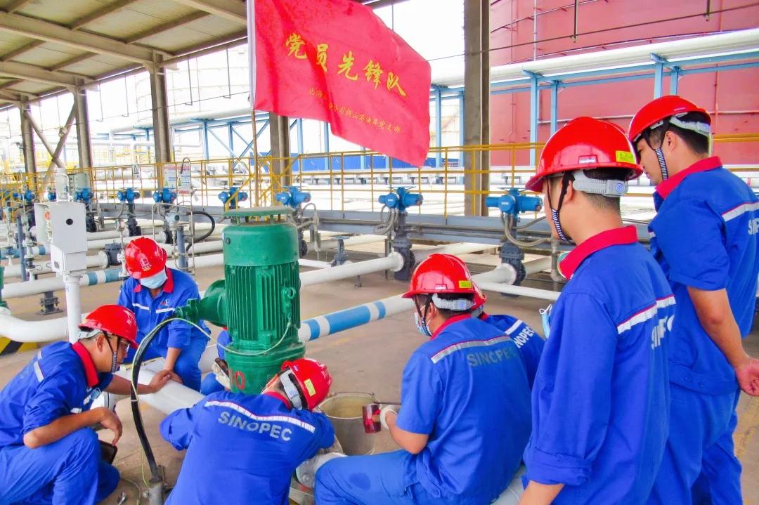 2024年中石化校招啥时候公布结果,中石化2024校招多久出面试通知