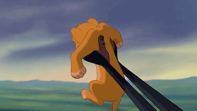 真实版的狮子王,现实版狮子王比想象的更残酷