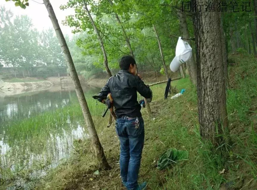 钓鱼记录2019,最新的钓鱼日记