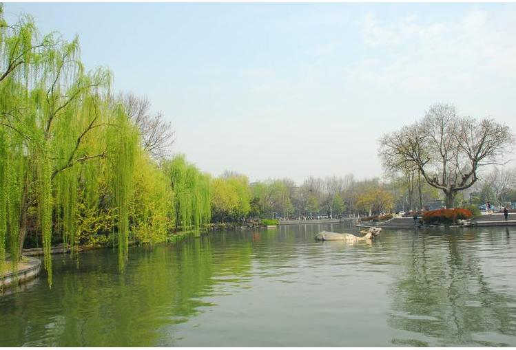 杨柳小古文全文,小古文欣赏杨柳