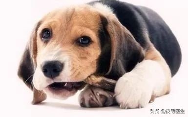 笑出法令纹!还能肆无忌惮地笑吗?正常笑!但改掉这5个习惯