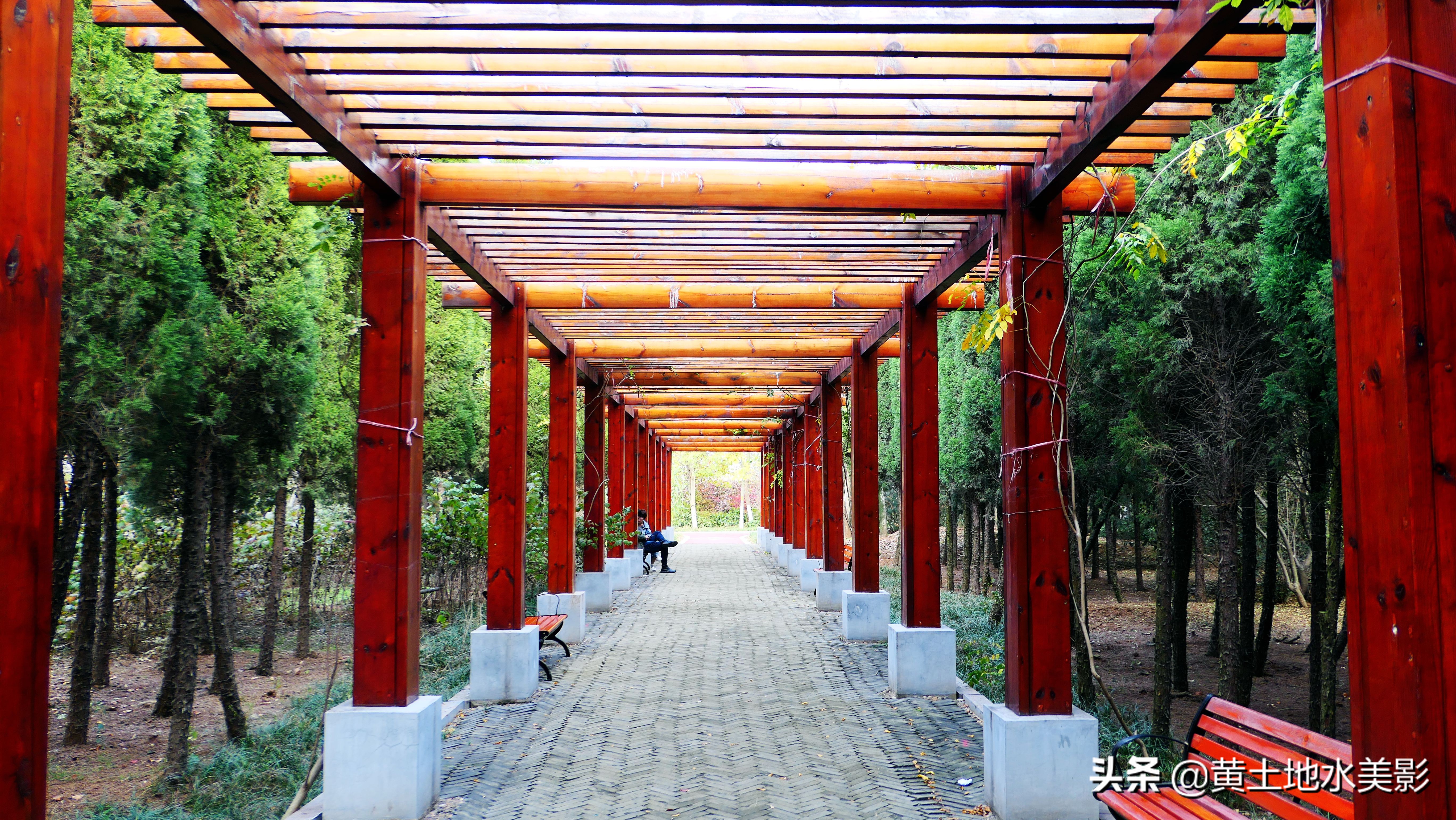 免费游玩东湖公园攻略,免费湿地公园游乐景点