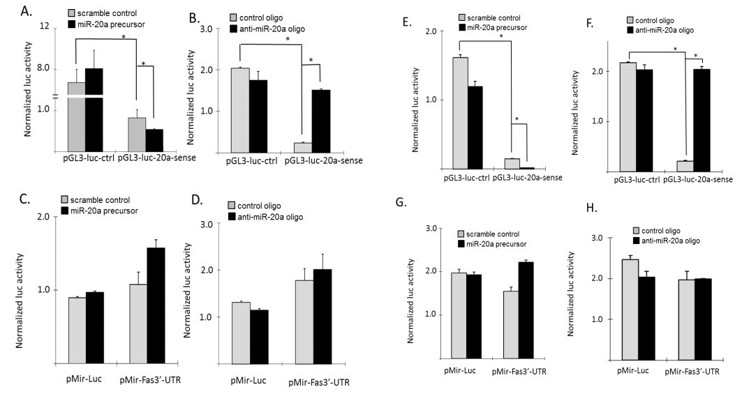 美国学者发现miR-20a可以治疗性地靶向抑制骨肉瘤细胞肺转移