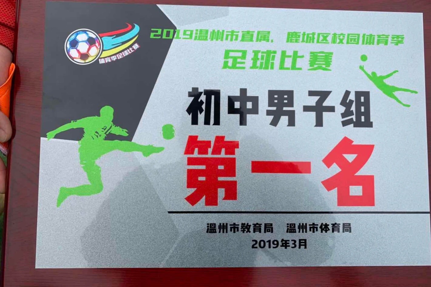 绿茵场上的传奇时刻,绿茵场上我们敢打敢拼