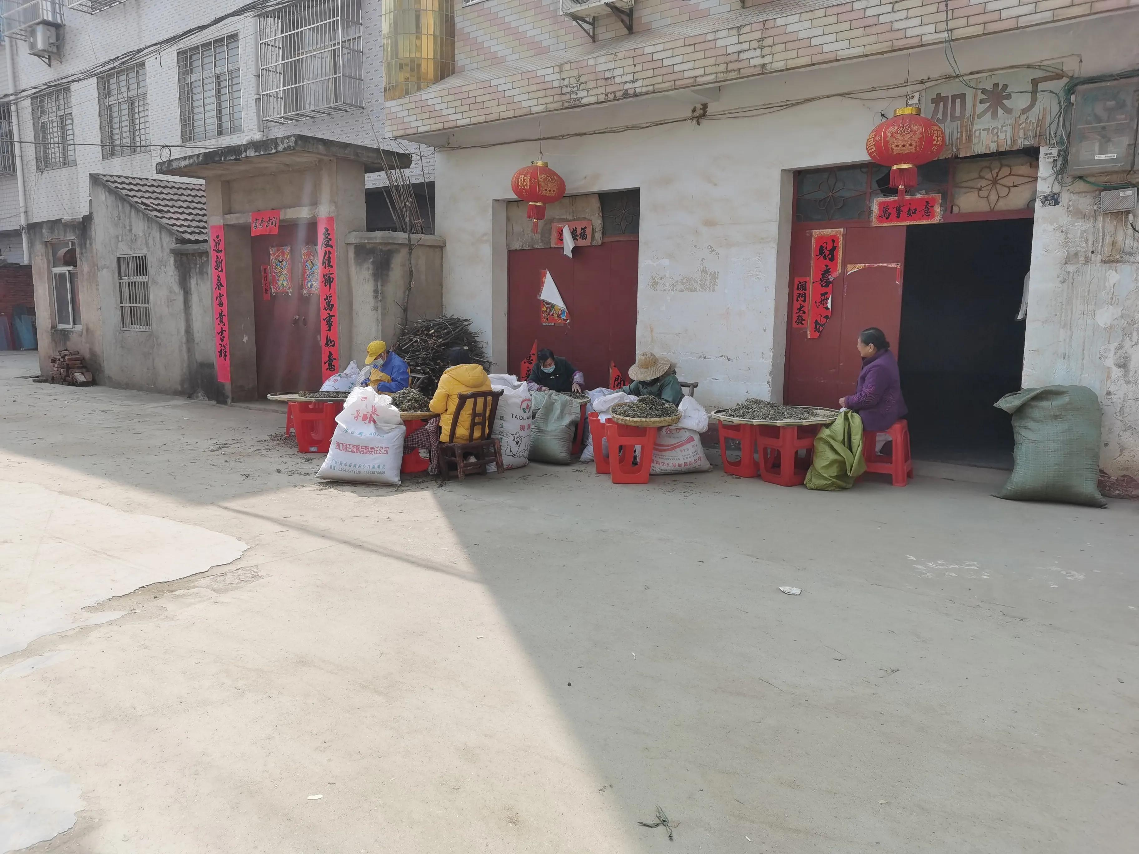 金艾条和陈艾条有什么区别,如何选择真正的好艾条