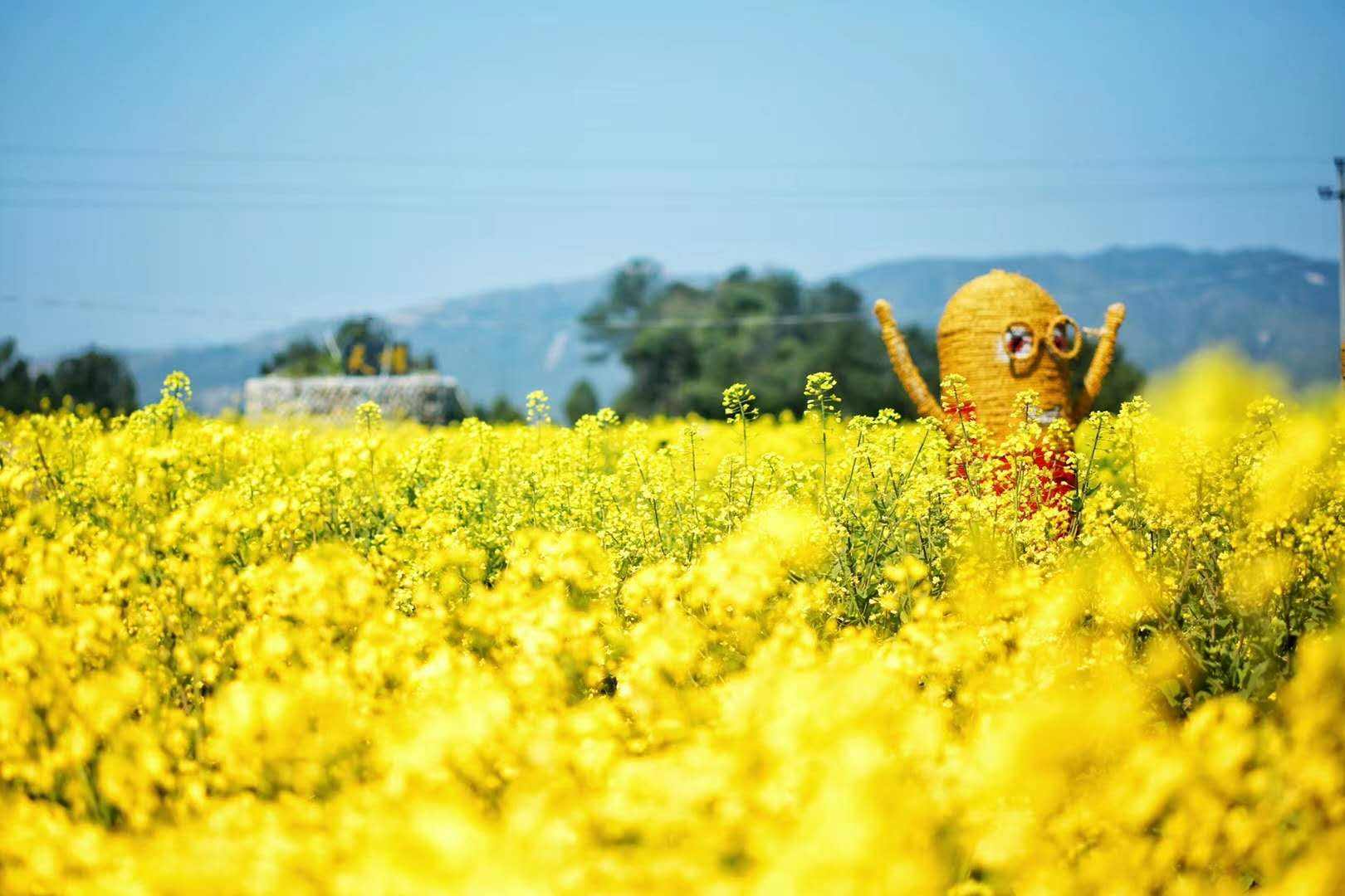 未来5年农业最赚钱行业,农业未来10年赚钱吗