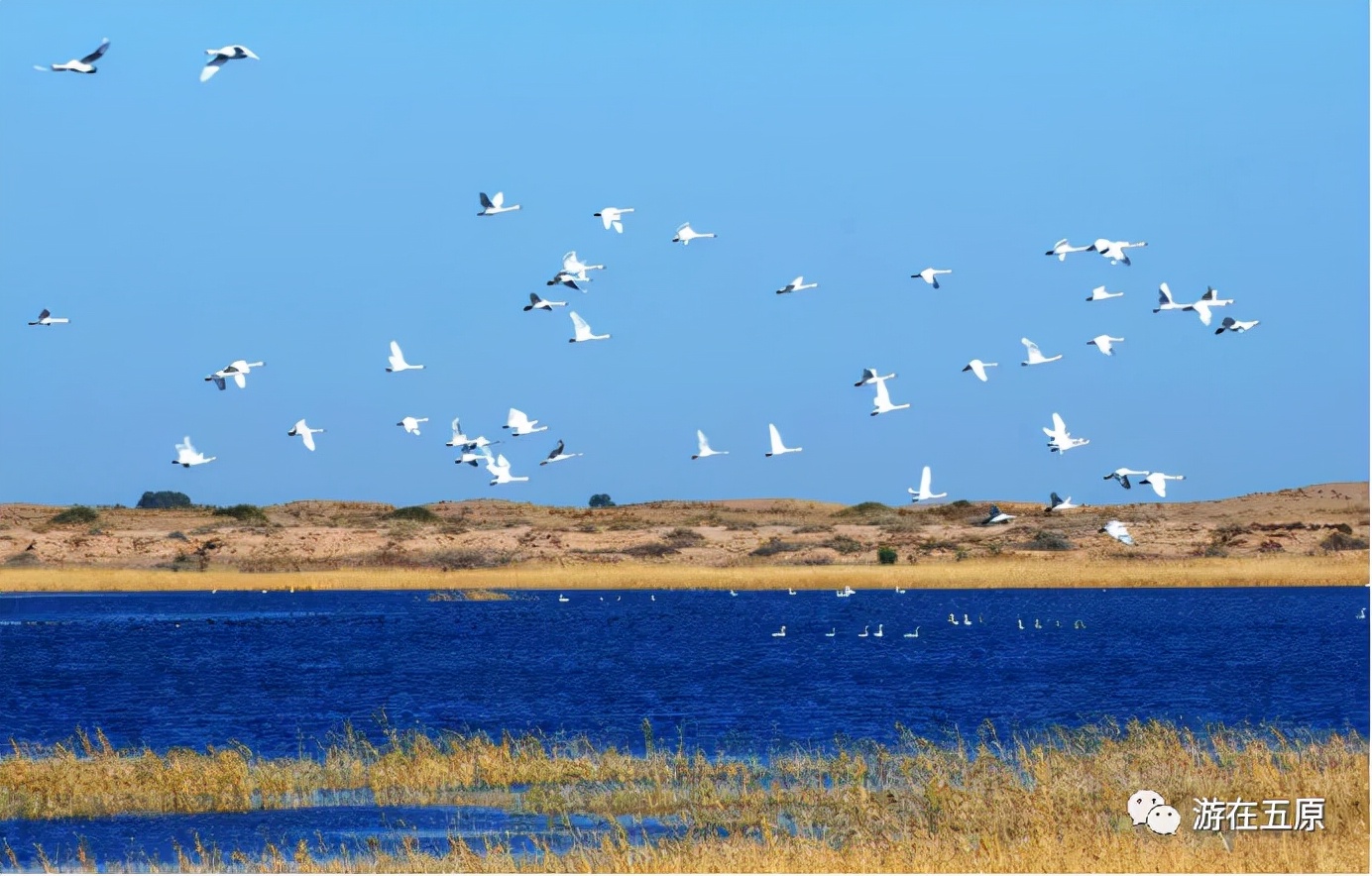 十一不出行,十一不堵车的路线