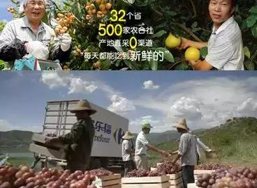 怎么经营果园才能盈利,果园经营模式及配送