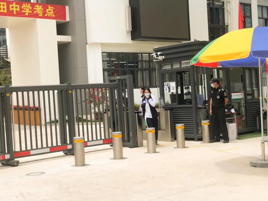 萌娃、萌宠纷纷抢镜!今年高考作文,深圳学生躺赢?