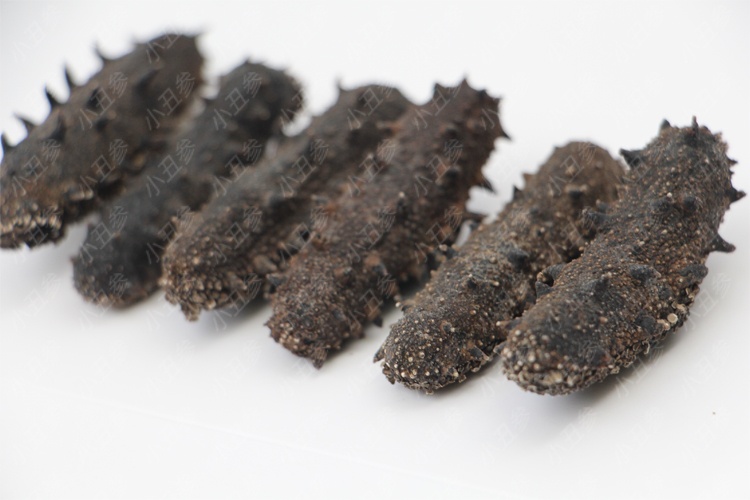 一斤50头干海参价格,干海参一斤泡发成几斤