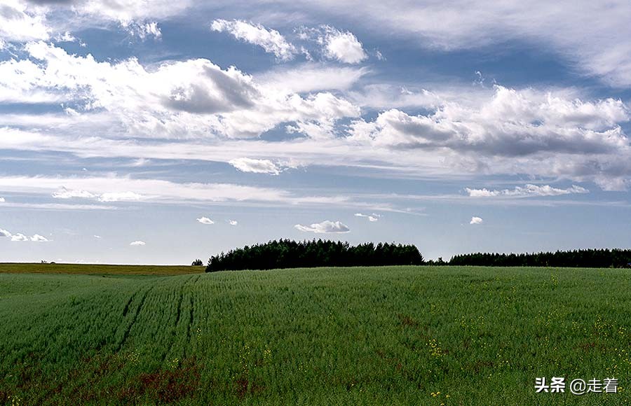 鐪嬪娓哥帺,鐪嬪