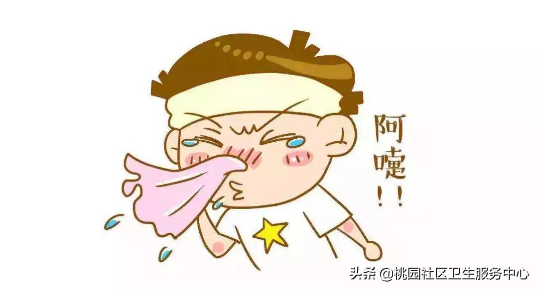 关于过敏性鼻炎你应该知道的,过敏性鼻炎掌握3个要点轻松解决