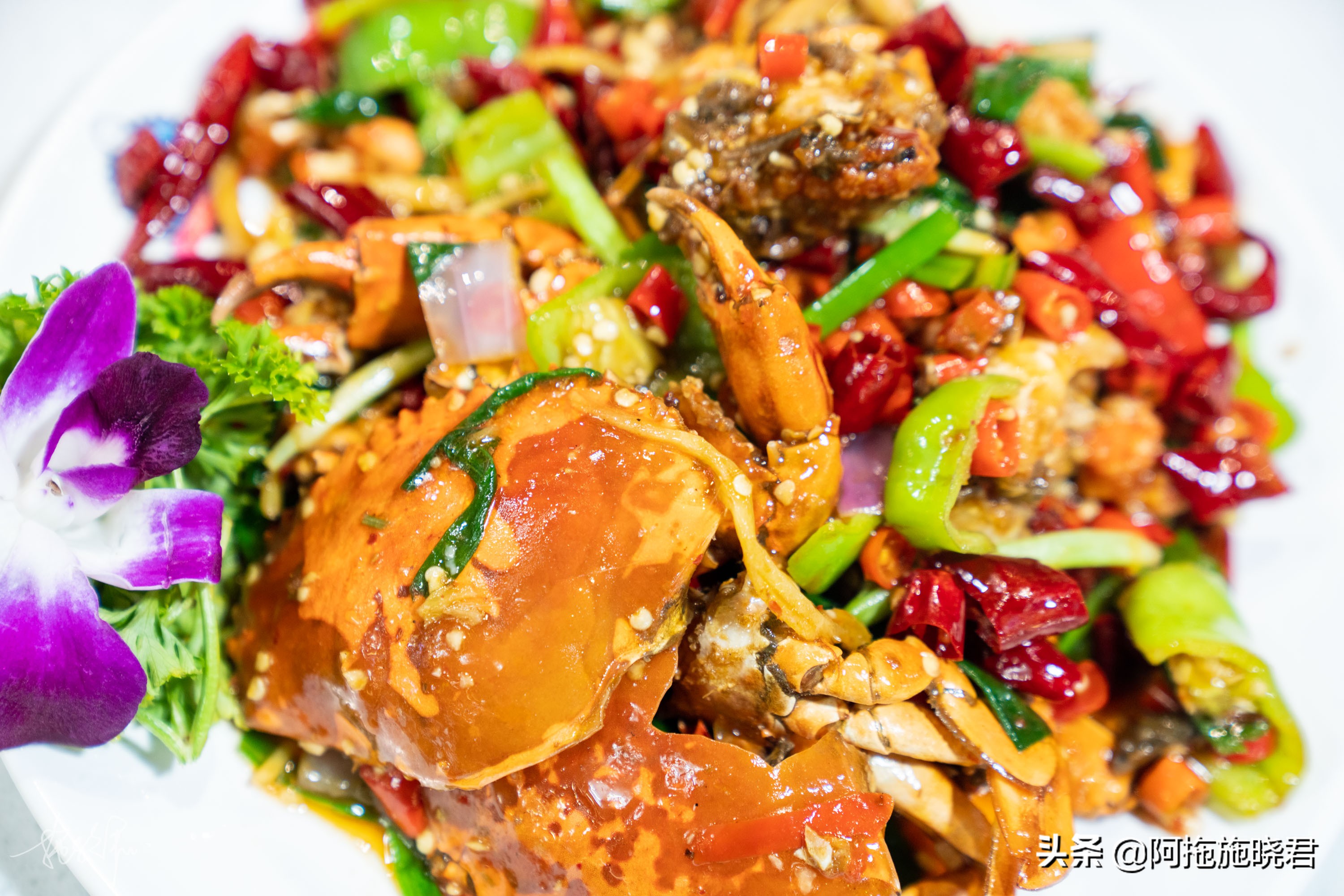 三亚避寒15天游玩攻略,三亚避寒游攻略