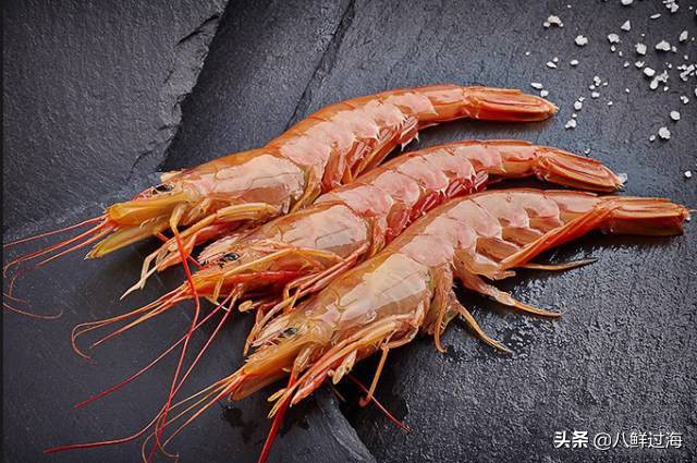 阿根廷红虾价格低的原因在哪,阿根廷红虾价格走低
