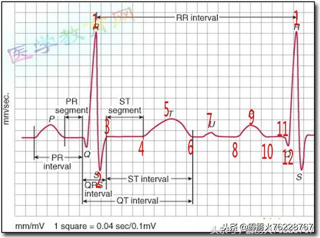 格物是真的吗,格物致知是错误的吗