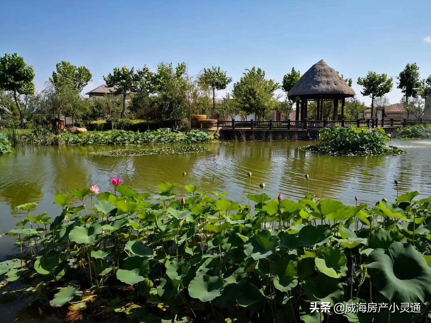 荣成中式合院实景视频,威海荣成中式合院别墅