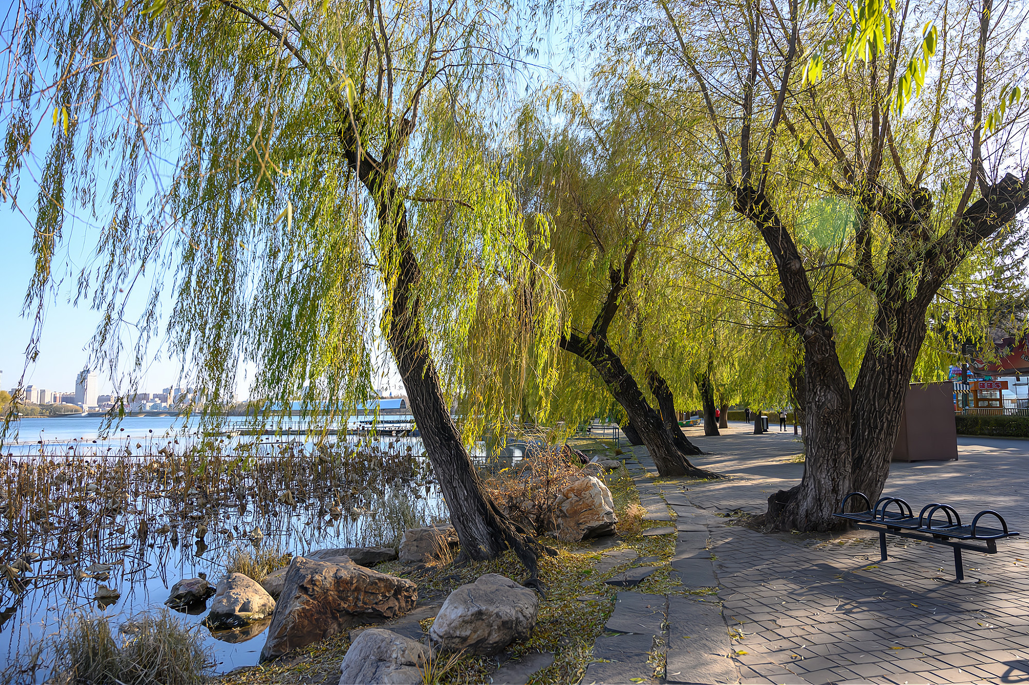 长春南湖公园景观简介,长春南湖公园都有哪些美景