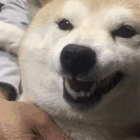 免费app是怎么盈利的,免费视频网站靠什么盈利