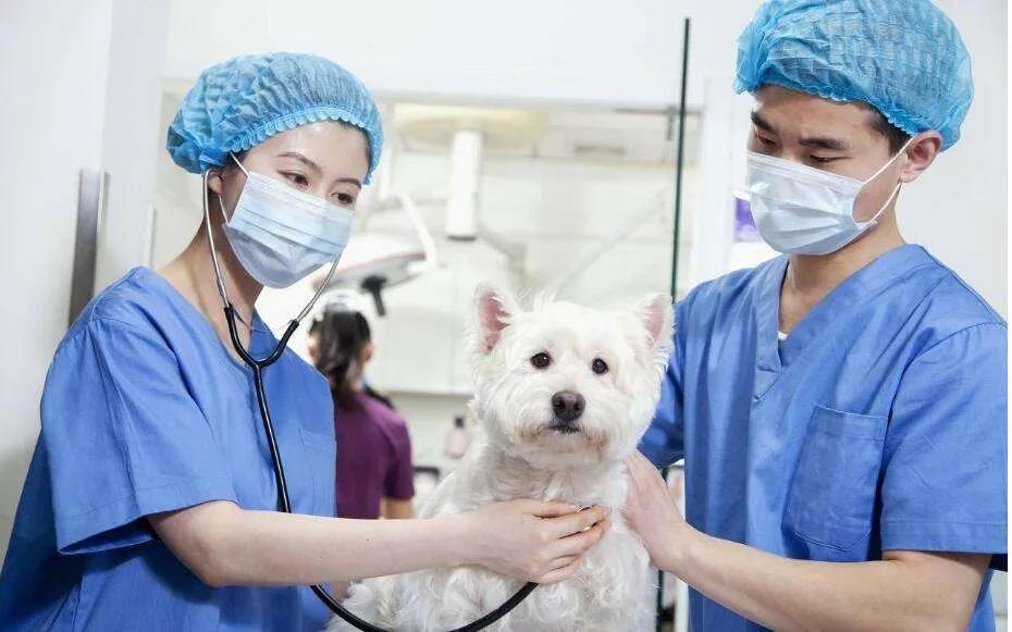 安全专业在香港就业,香港大学热门专业就业方向