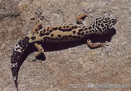 合肥美丽的地方有哪些,合肥是个好地方吗