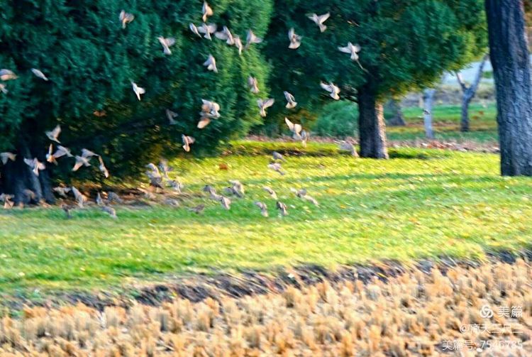 玉泉山北坞公园介绍,北坞村玉泉山