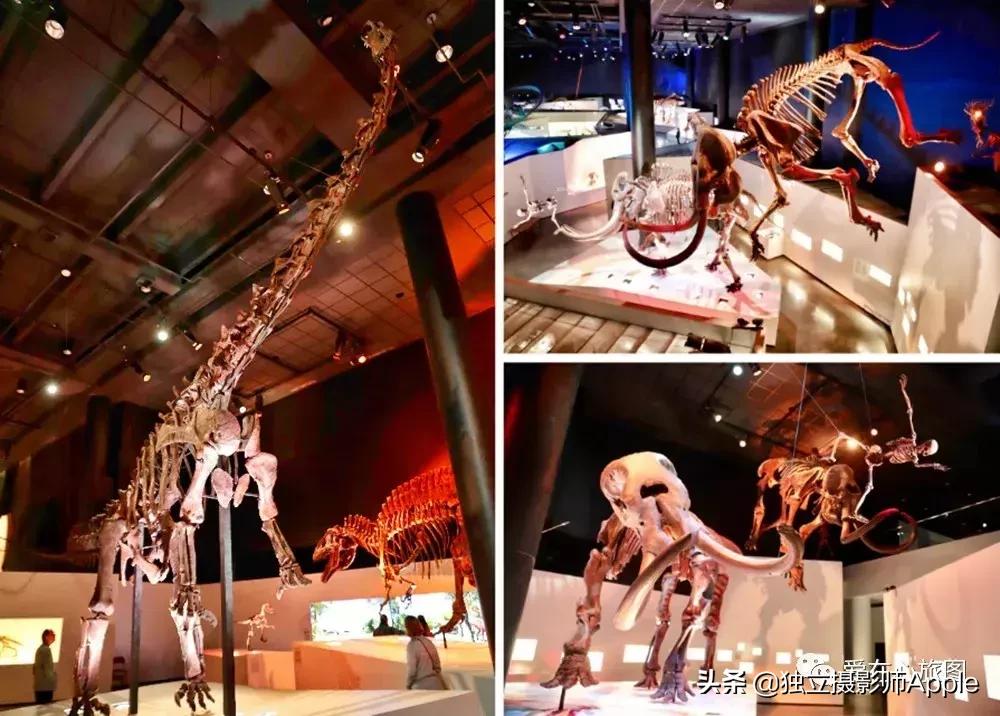 请收下这份美好生活攻略,请收下这份旅游攻略