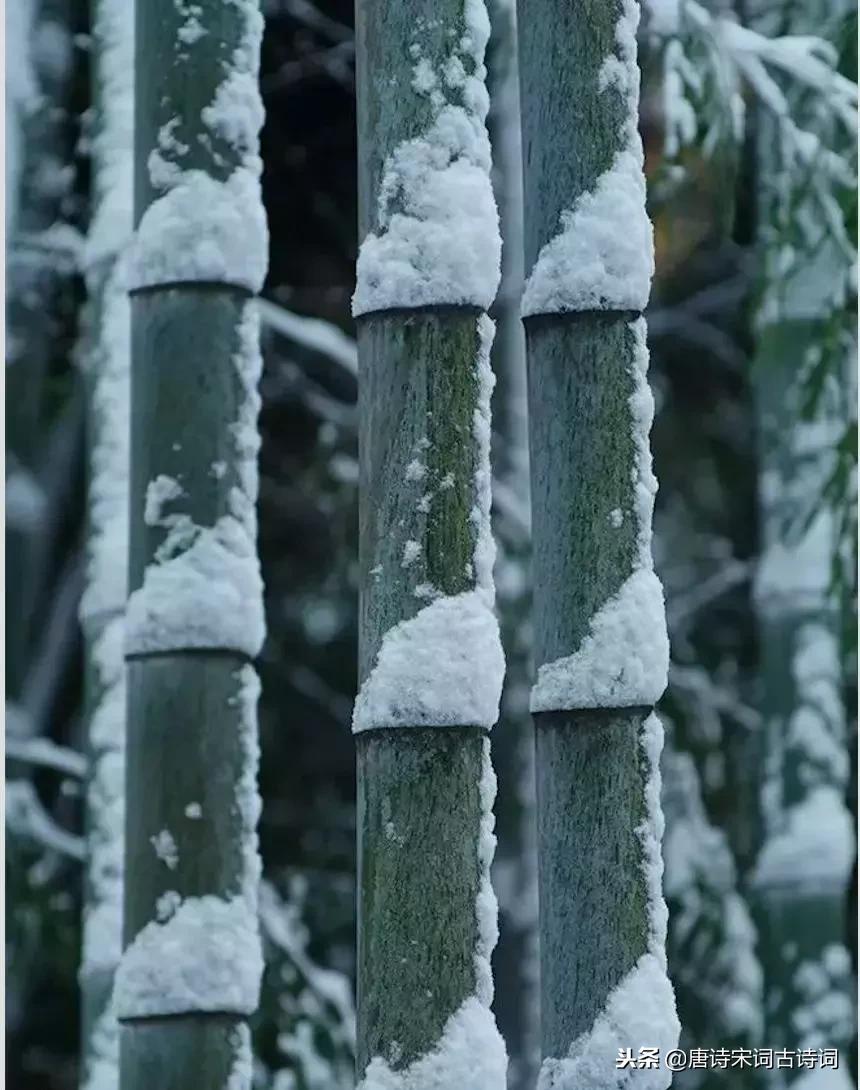 一场大雪洋洋洒洒而来,带雪的唯美唐诗宋词