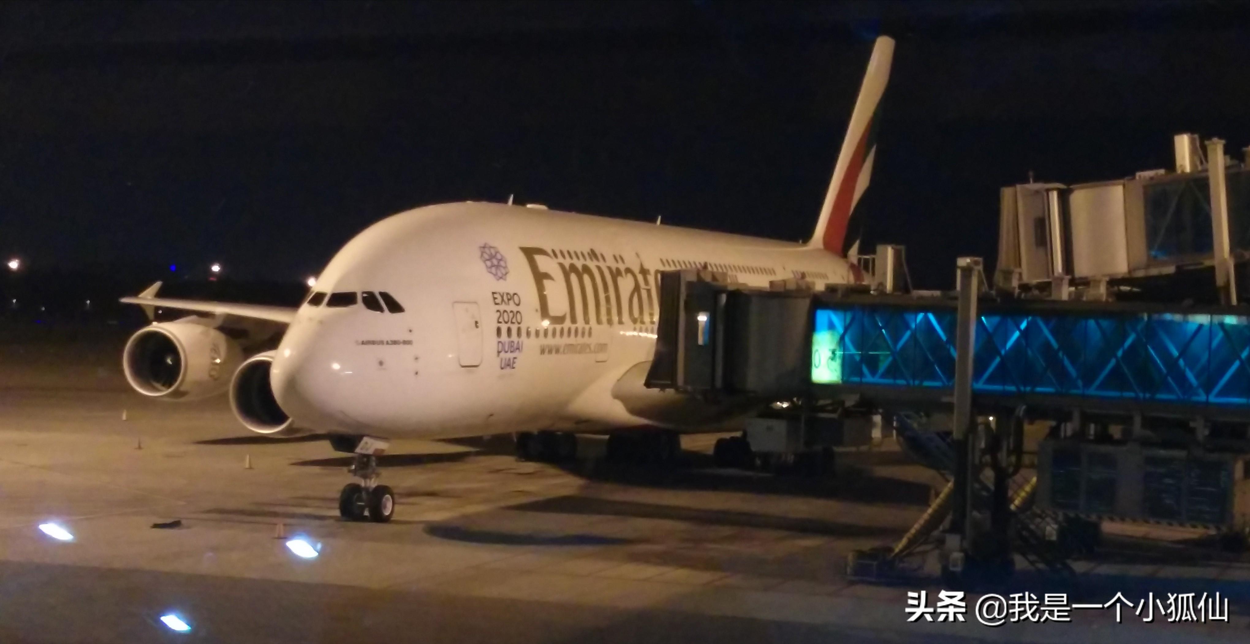 那年,公司将我从非洲安哥拉调到了朝鲜(1要我马上回北京报到)