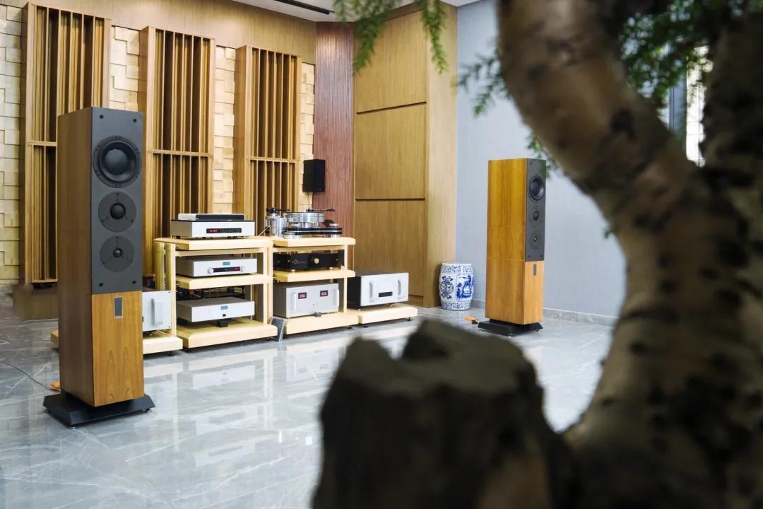 丹拿c5和c2怎么选,丹拿信心c5第几代最好