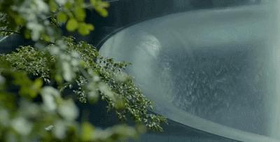 世界级名侦探柯南,日本排行榜第一的名侦探柯南