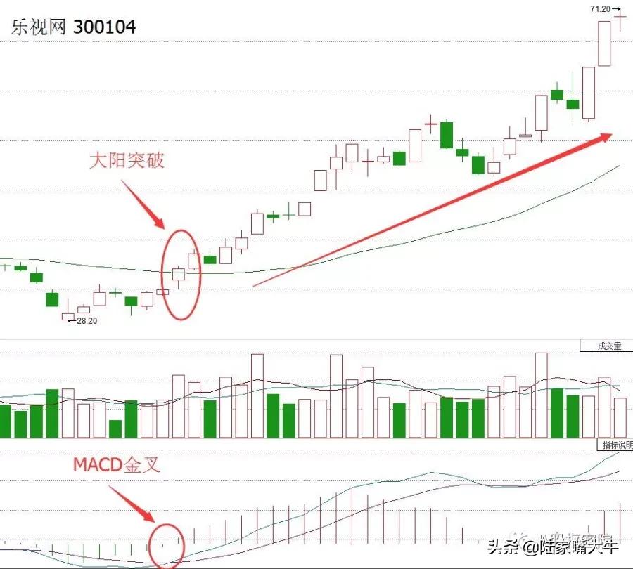 生命线30日均线的妙用,生命线是30日线还是60日线