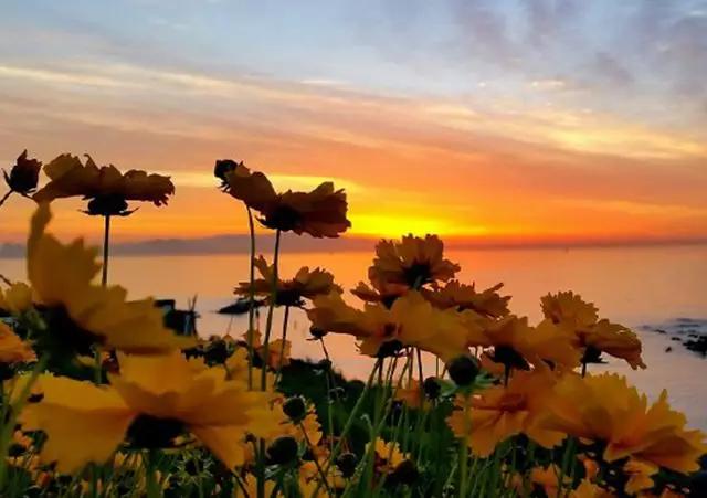 关于春天的古诗词美篇,让人惊艳的春天古诗词